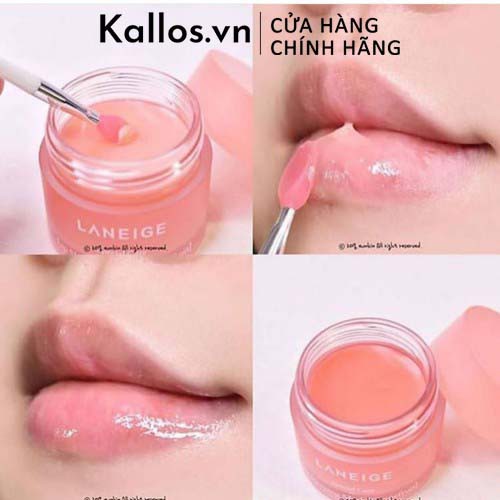 Mặt Nạ Ngủ Môi Laneige Lip Sleeping Mask: Berry, Mint Choco, Grapefruit, Apple Lime 20g - Kallos Vietnam