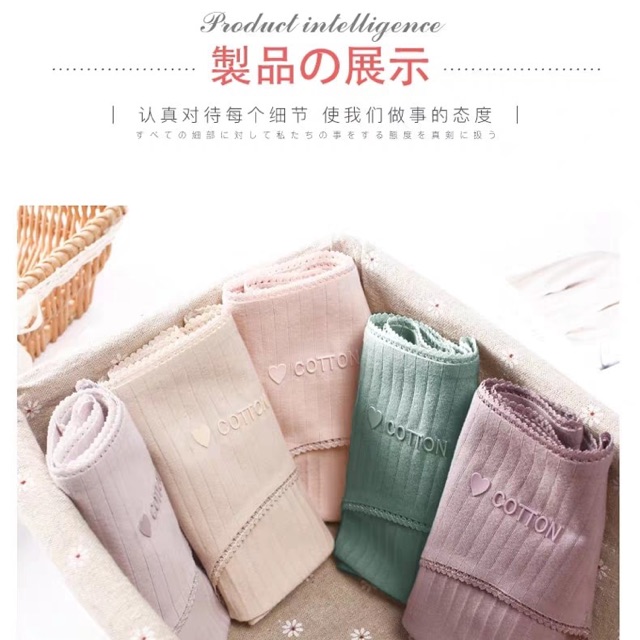 Set quần chip kháng khuẩn 6 chiếc