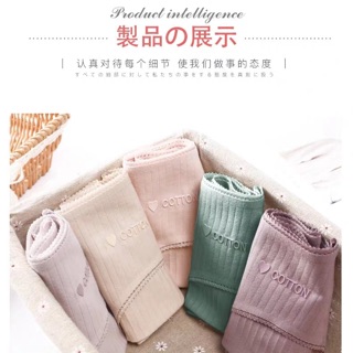 Set quần chip kháng khuẩn 6 chiếc