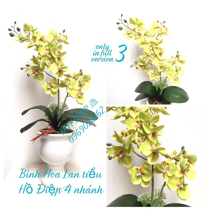 HOA LAN NHÂN TẠO - BÌNH LY HOA LAN TIỂU HỒ ĐIỆP ĐỂ BÀN MINI 4 NHÁNH