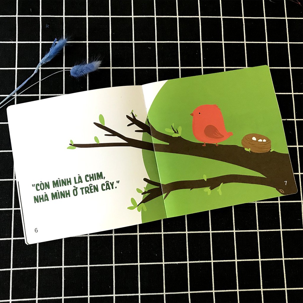 Sách - Ehon Động Vật: Bạn Ở Đâu Vậy - Dành cho trẻ từ 0 - 3 tuổi | BigBuy360 - bigbuy360.vn