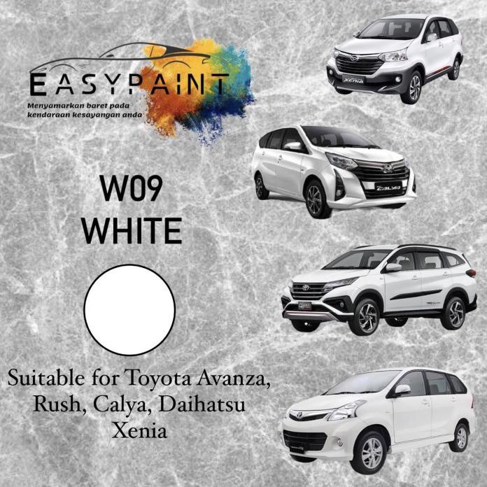 Dụng cụ loại bỏ phần mềm trên xe hơi W09 - TOYOTA AVANZA, RUSH, CALYA