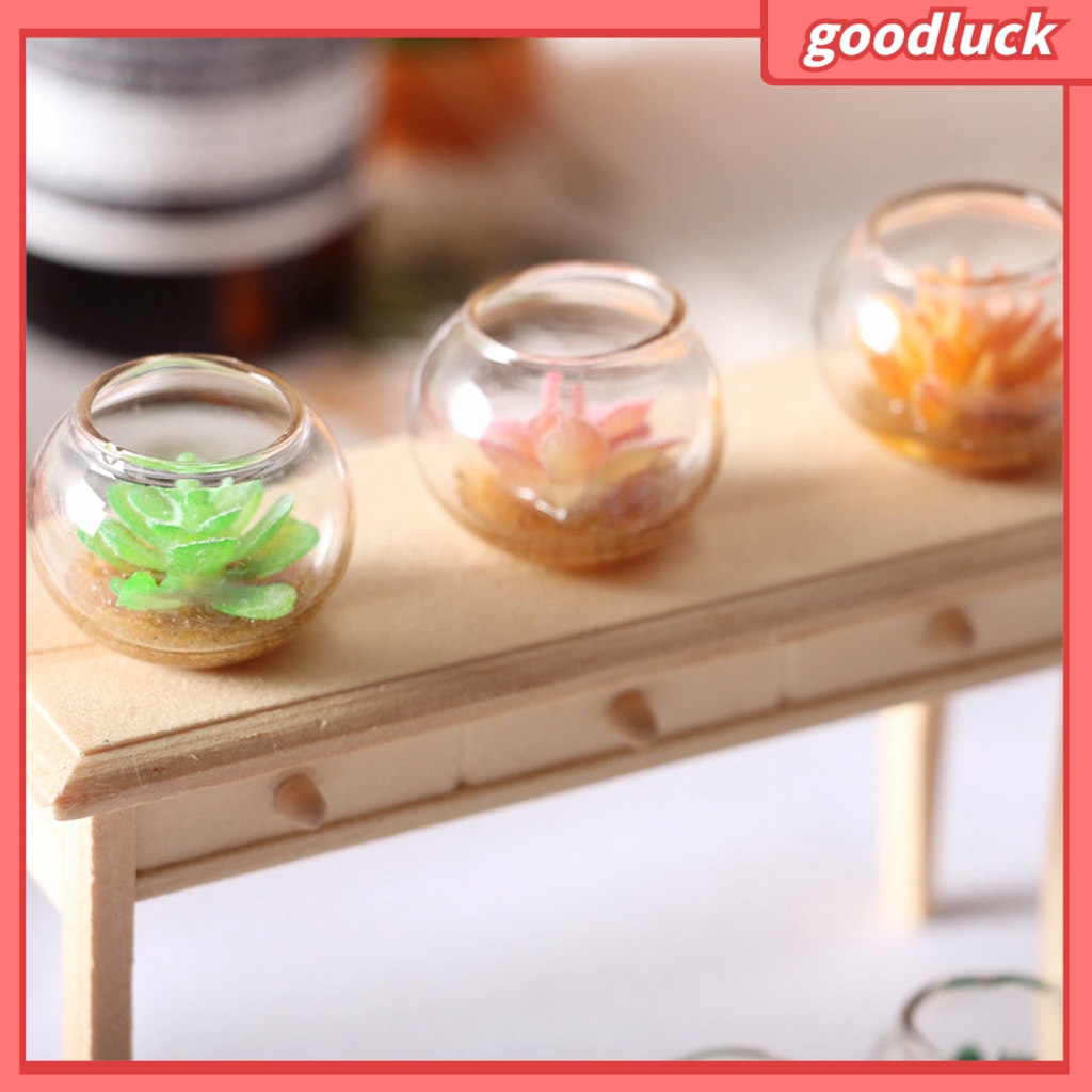 Đồ trang trí chậu cây mini màu sắc ngẫu nhiên trang trí bể cá