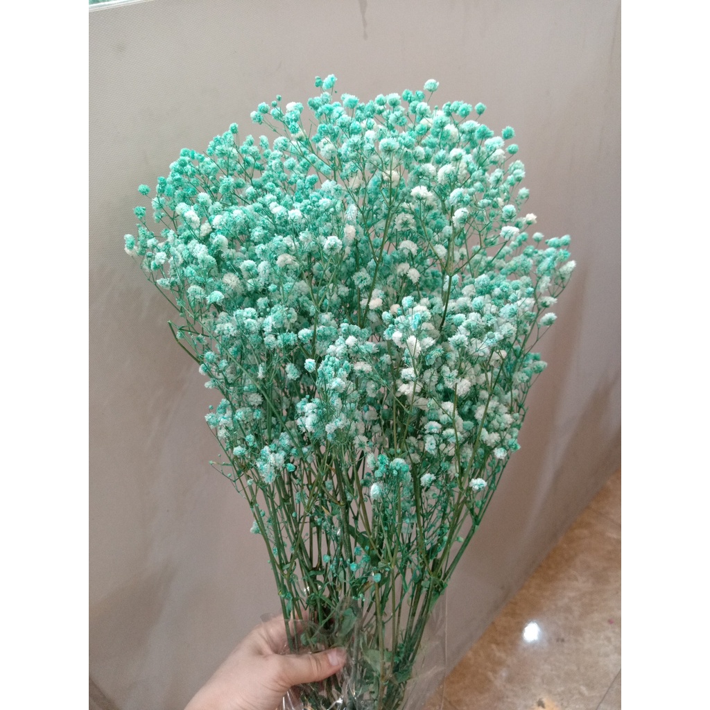 Hoa Baby Khô - Quà Tặng Hoa Khô, Decor Trang Trí