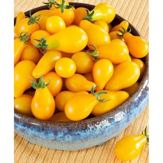 Hạt giống Cà chua lê vàng