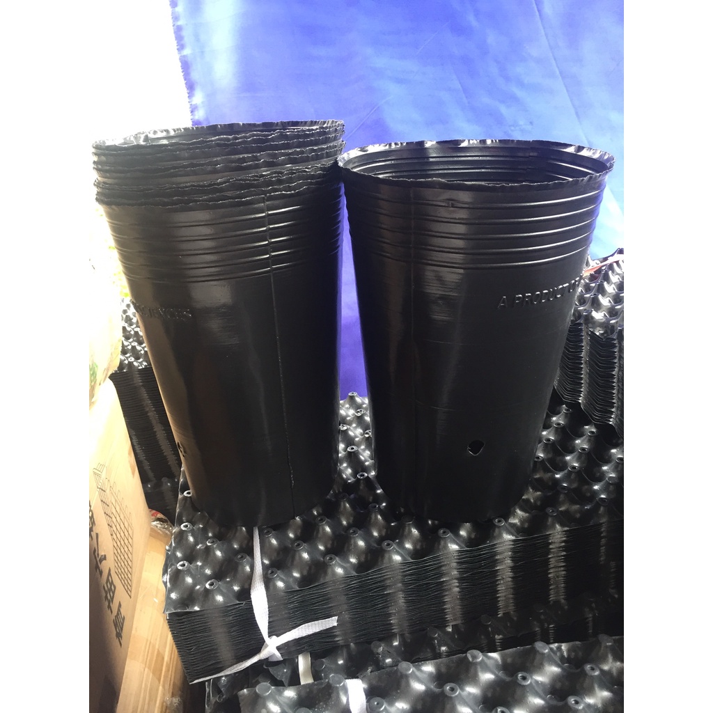 1 KG BẦU ƯƠM C20 (DỊCH TRUYỀN CHO CÂY, BẠT CHỐNG CỎ, KEO RUỒI VÀNG...)