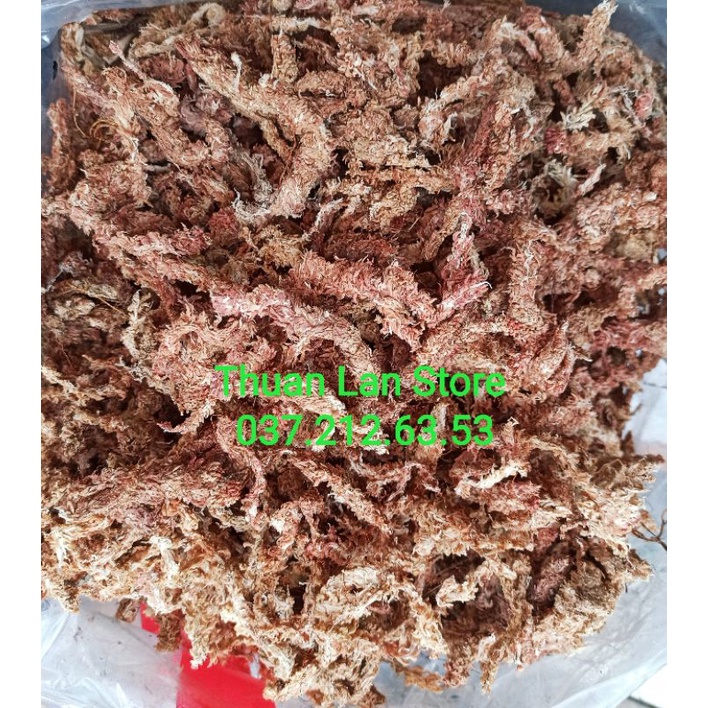 Rêu Sâu Chile Cao Cấp Giữ Ẩm Tốt gói 50g