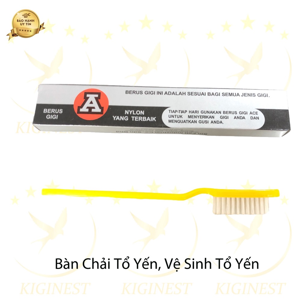 BÀN CHẢI VỆ SINHTỔ YẾN CHẤT LƯỢNG TỐT - SIÊU CỨNG