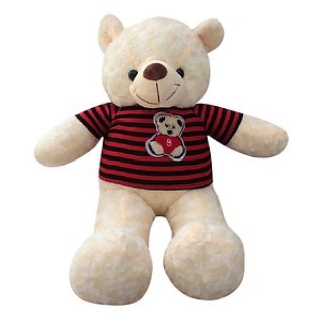 GẤU TEDDY 80cm- 1m