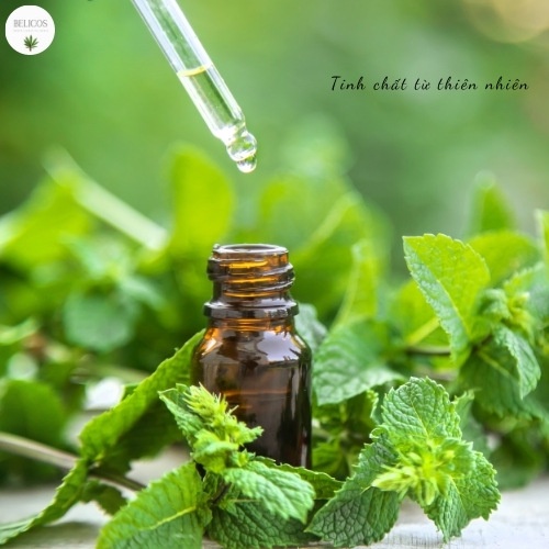 Tinh dầu Bạc Hà 50ml/100ml Pepermint essential oil - Tinh dầu thơm Ấn Độ nguyên chất