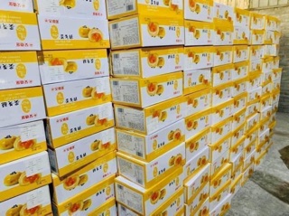 5 Chiếc Bánh Trứng Chảy EGG