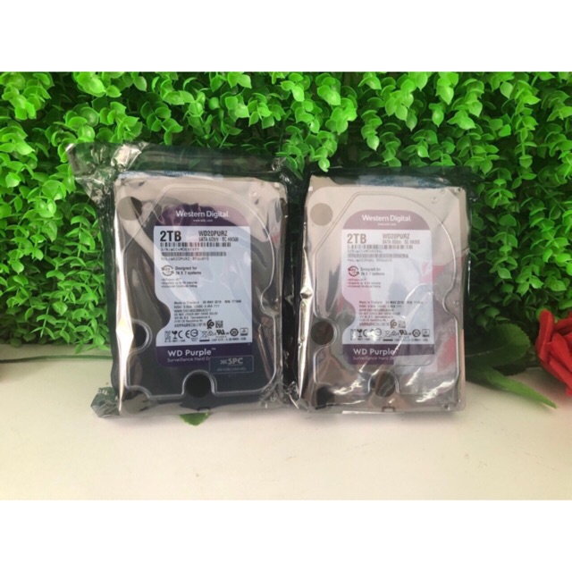 Ổ Cứng Western Purple 2TB CHÍNH HÃNG VĨNH XUÂN Dòng Ổ Cứng Chuyên Dụng Cho Camera