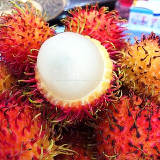 Cây giống chôm chôm nhãn siêu trái