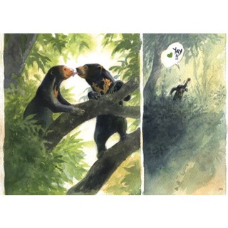 Sách - Chang hoang dã - Gấu