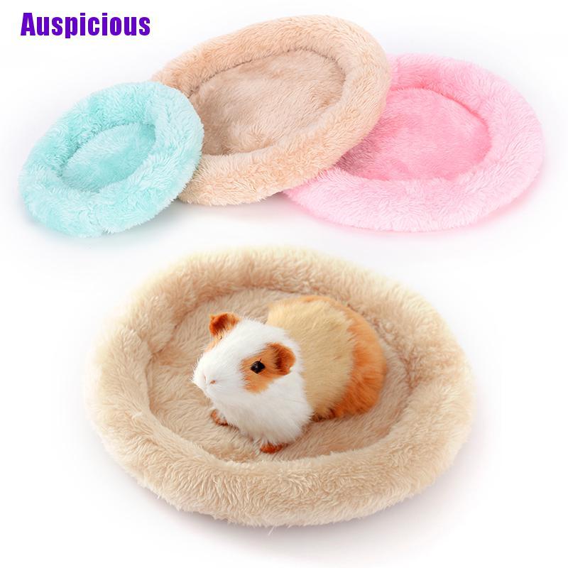 Giường Ngủ Mềm Mại Cho Chuột Hamster