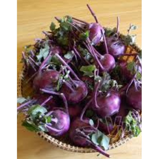 Hạt giống Củ su hào tím Tặng Kích Mầm Và Quà Tặng