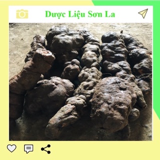 Hà thủ ô đỏ tươi nguyên củ 1 kg