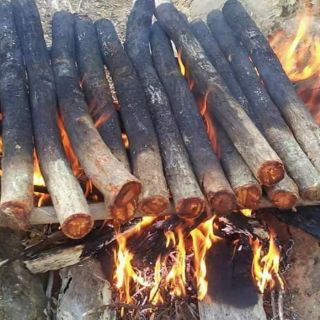 Cỏ bổ máu tăng cân