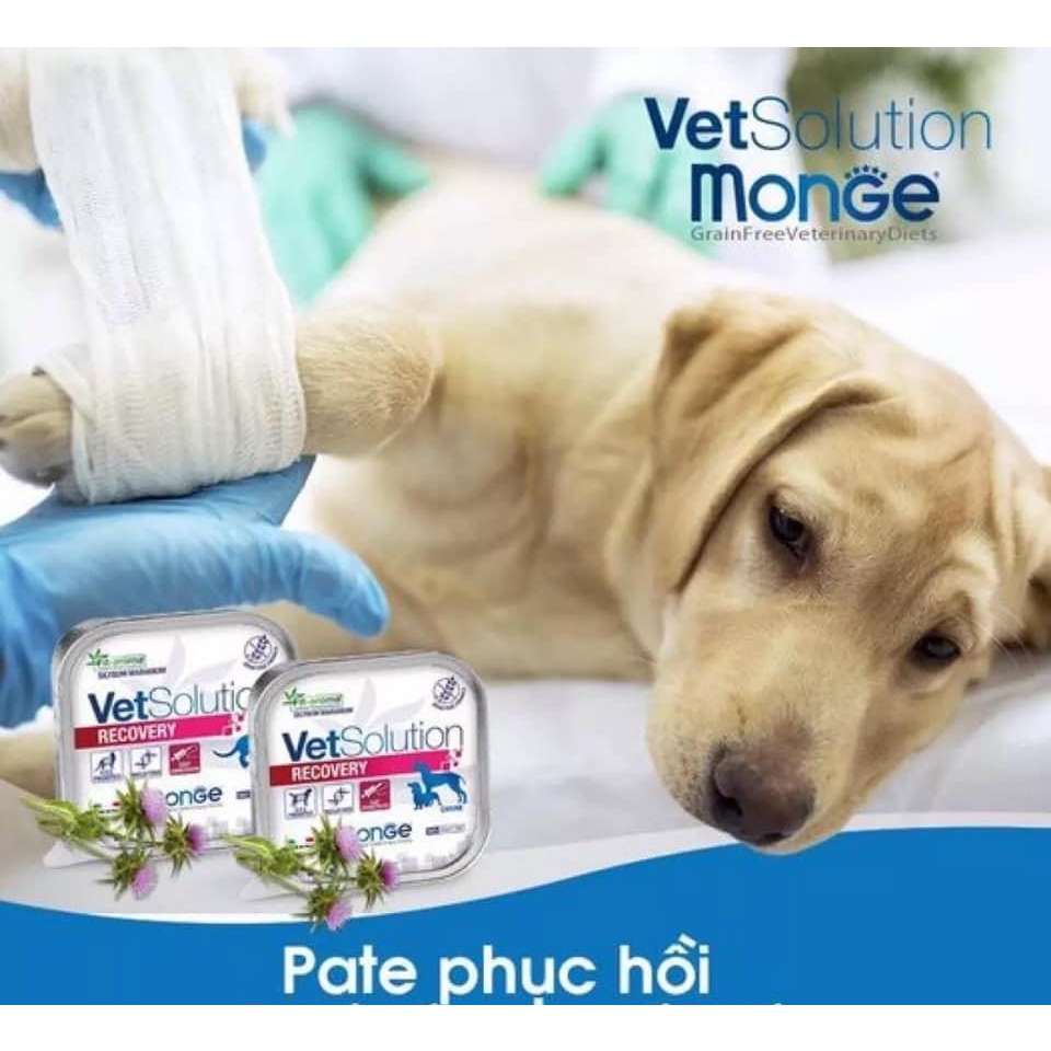 Pate phục hồi cho chó mèo bệnh, bổ sung dinh dưỡng cao cấp (Monge, Ý)