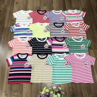 Combo 30 áo kẻ pulman