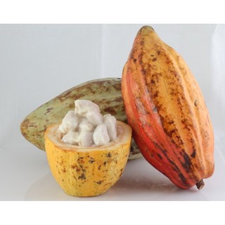 Bột Cacao LACACAO PREMIUM 100g