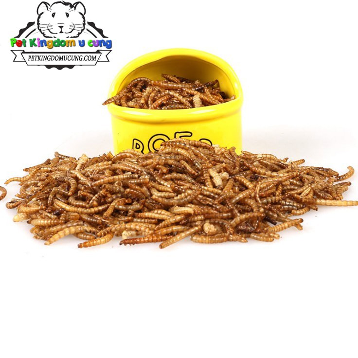 sâu khô size trung 1kg
