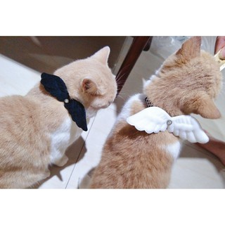 Vòng cổ choker cho chó mèo - Choker thiên thần