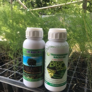 CHẾ PHẨM SINH HỌC TRICHODERMAR BACILLUS HLC  500ml