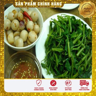 Hạt giống Cà Pháo Trắng 2gram