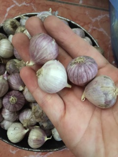 3kg tỏi cô đơn nhỏ, đều củ