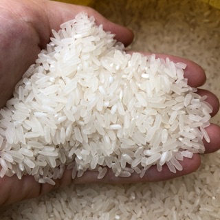 GẠO BC Thái Bình 10kg