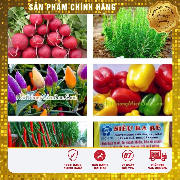 -18k Combo sản phẩm vụ thu - đông