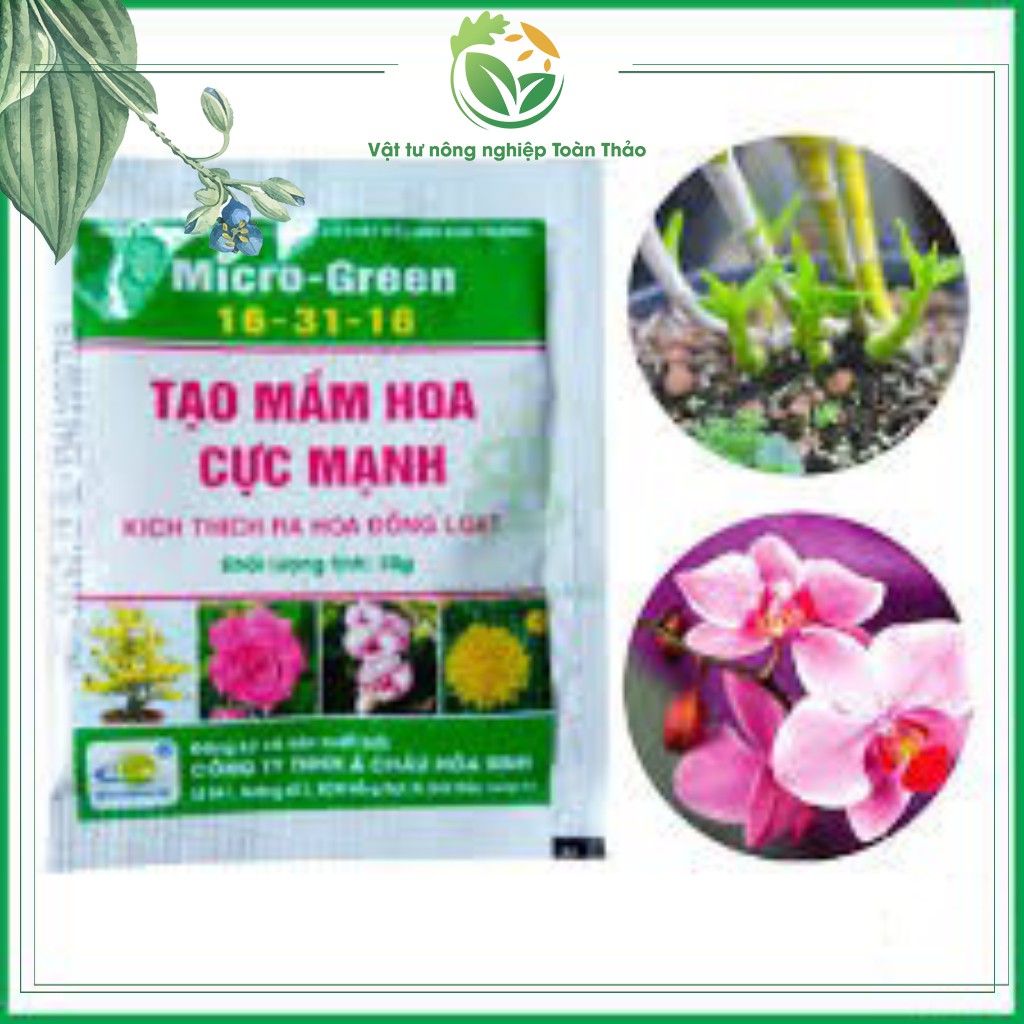 Combo 5 gói phân bón Micro-Green 16-31-16 Giúp Tạo Mầm Hoa Cực Mạnh, Thúc Đẩy Ra Hoa Đồng Loạt Gói 10 Gram