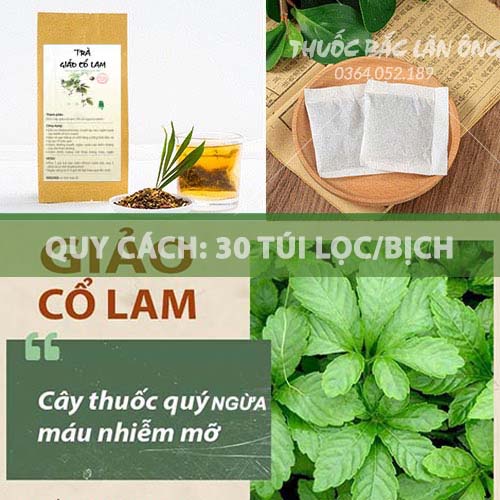 Trà giảo cổ lam giảm mỡ máu, thanh nhiệt - Thuốc Bắc Lãn Ông