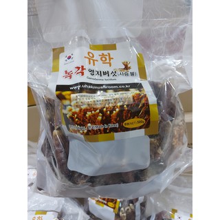 Nấm sừng hươu nhỏ chuẩn 100% hàn quốc