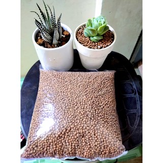 Đất sét nung sỏi nhẹ Thái Lan trồng sen đá xương rồng size S 1kg