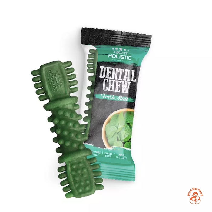 Xương gặm sạch răng, thơm miệng cho chó hình bàn chải ABSOLUTE HOLISTIC DENTAL CHEW - Vị bạc hà