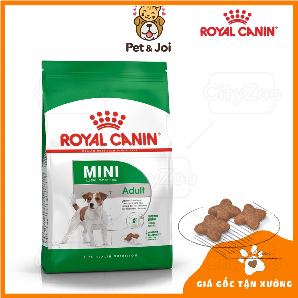 THỨC ĂN CHO CHÓ Dạng hạt ROYAL CANIN MINI All small dogs up to 10kg Adult Gói 800g - PET&amp;JOI