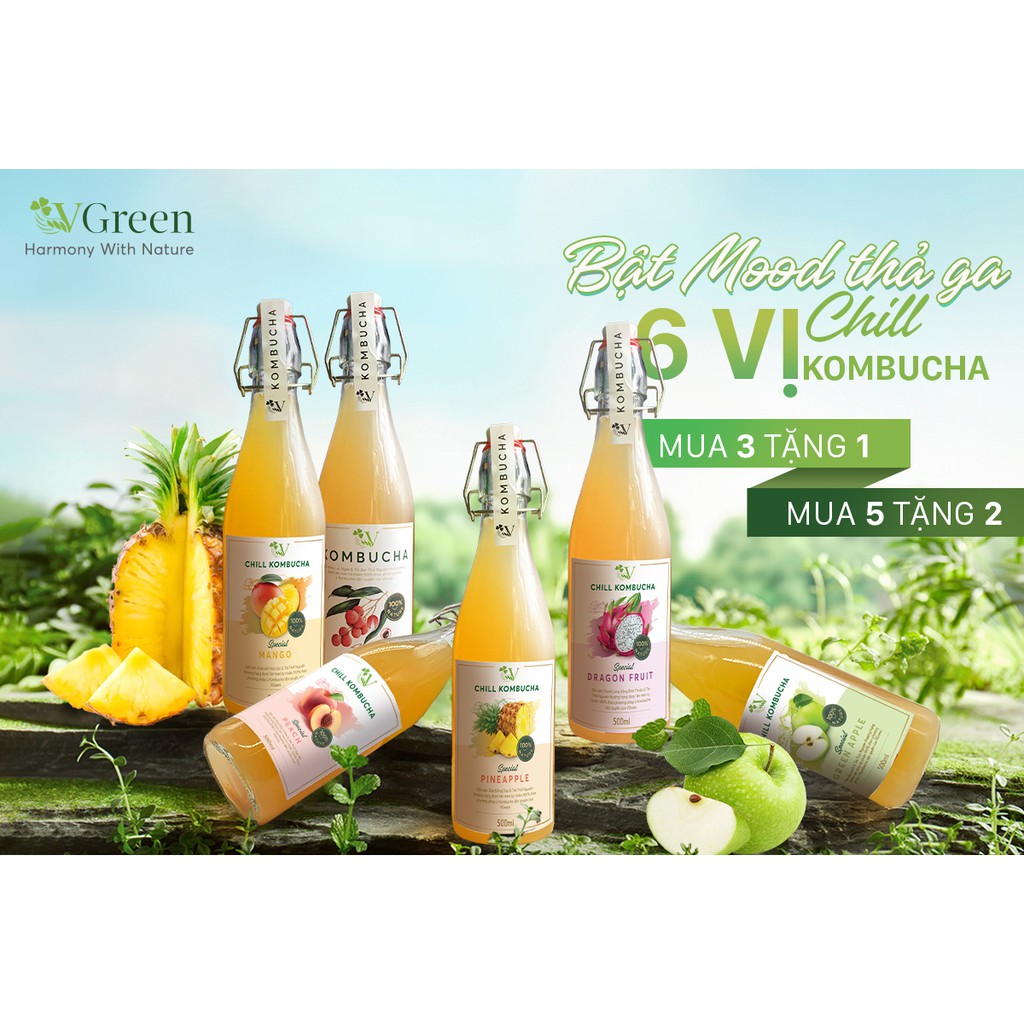 Chill Kombucha - Trà Hoa Quả Lên Men - 8 vị - Kombucha Tươi 100% Nature