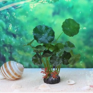 Ốc giấy trang trí