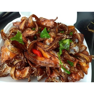 Cá tép dầu sông Đà (0.5kg)