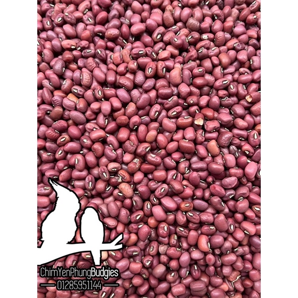 1kg đậu đỏ  hạt nhỏ dùng làm bánh, nấu chè.