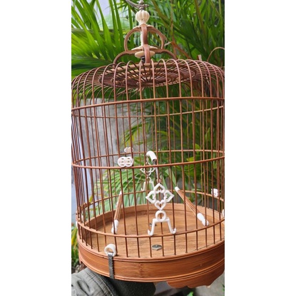 Combo 1 đôi kê cóng xương đục Song ngân dành cho lồng Khuyên