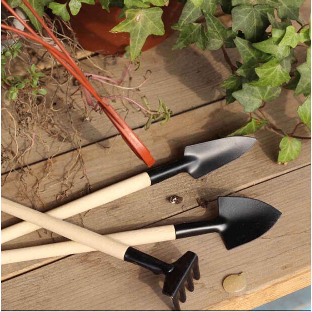 Bộ dụng cụ làm vườn mini 3 món cuốc xẻng cào trồng chăm sóc cây cảnh sen đá xương rồng bonsai treo tường ban công cửa sổ
