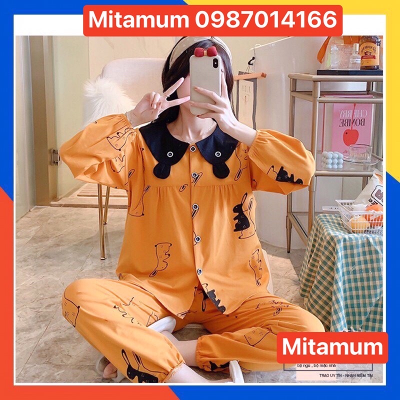 Bộ đồ bầu và cho con bú thu đông dài tay cotton có chun rút bụng hàng thiết kế thời trang trẻ trung đẹp giá rẻ BDDT009