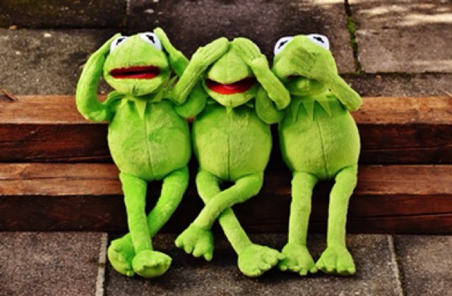 Ếch Kermit Frog có áo 40cm cởi được gấu bông