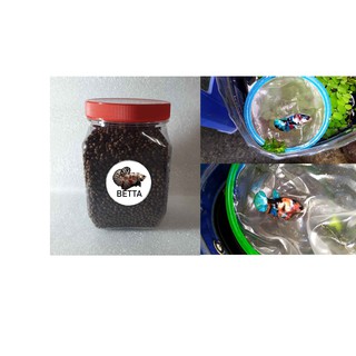 Cám (-m) betta mái GALAXY - Thức ăn cho cá.