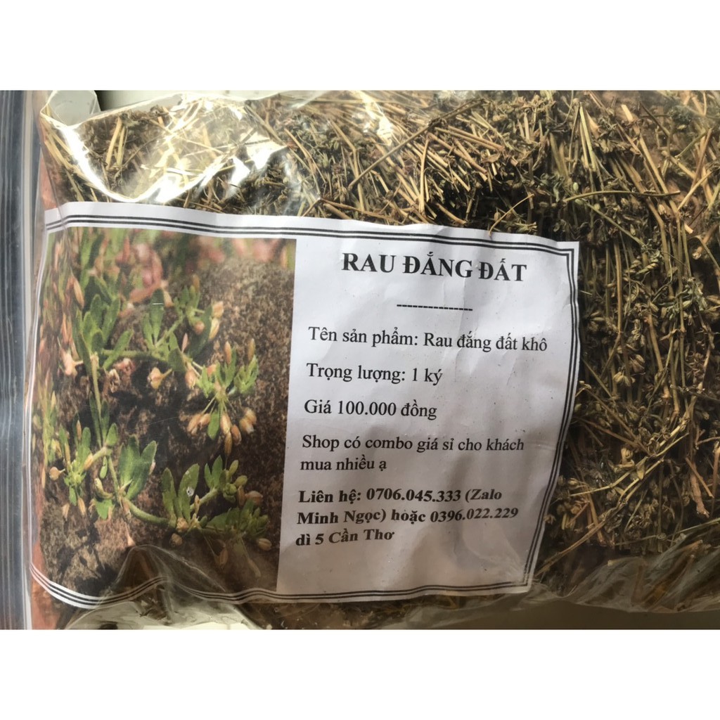 Rau đắng đất phơi khô 1 ký