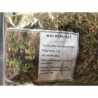 1 ký rau đắng đất phơi khô - sản phẩm nhà làm