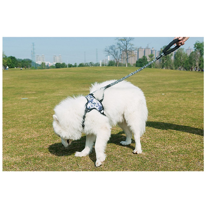 Dây dắt thú cưng co dãn tốt chất lượng cao